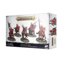 Warhammer Age of Sigmar Soulblight Gravelords Blood knights 91-41
