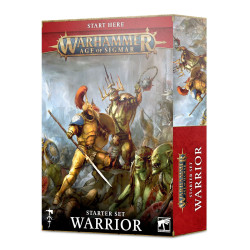 Age of Sigmar Starter Set Warrior